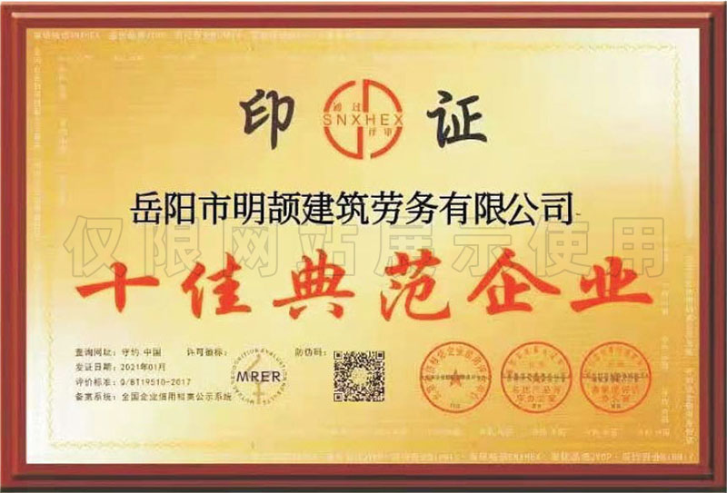 十佳典范企业